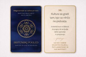 Sistemski pogled